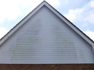 Window and Exterior Cleaning Services